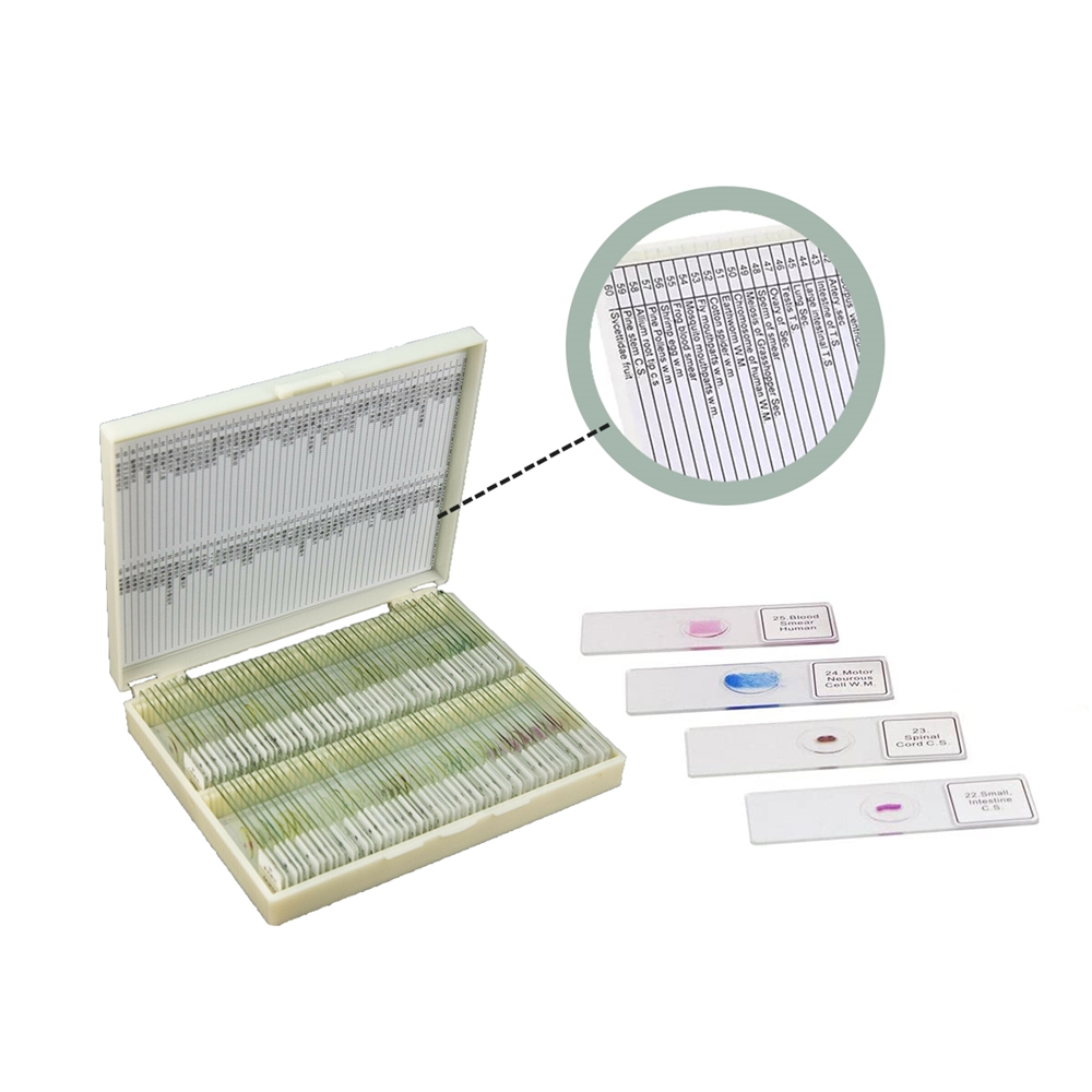 Instrumentación de Laboratorio - Medical Lab Iso reseña y precio