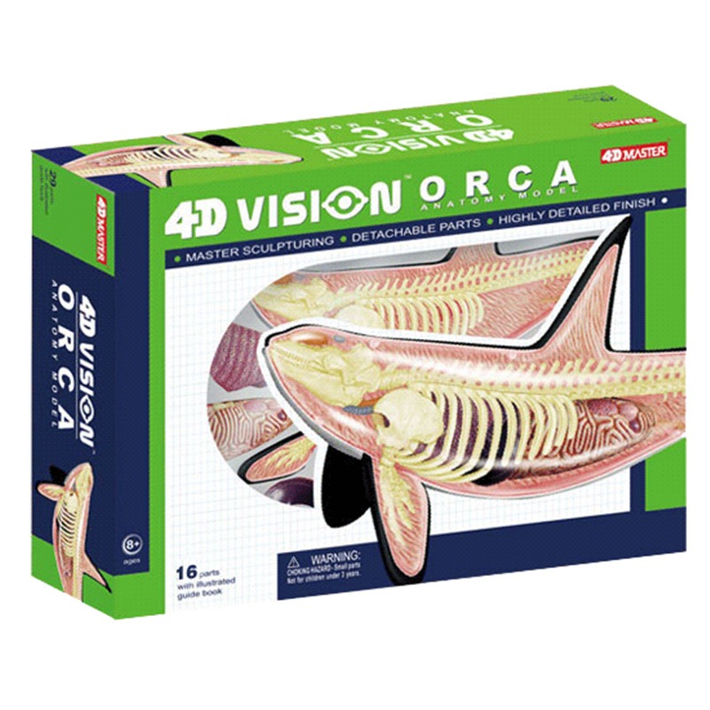 4D visión Orca ballena esquele - Medical Lab Scientist reseña y precio